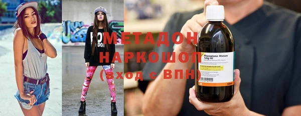 прущие грибы Сосновый Бор