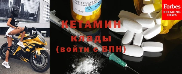 прущие грибы Сосновый Бор