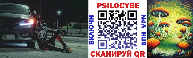Галлюциногенные грибы Psilocybine cubensis Белокуриха