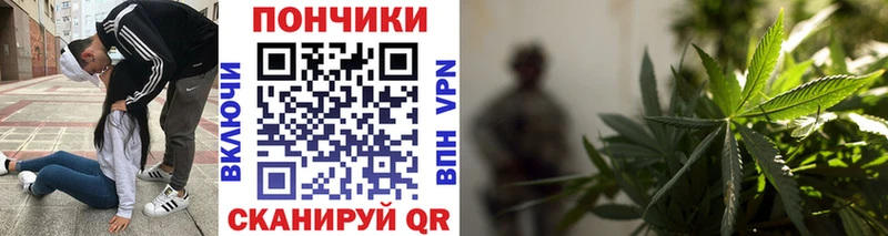 Шишки марихуана ГИДРОПОН  Белокуриха 